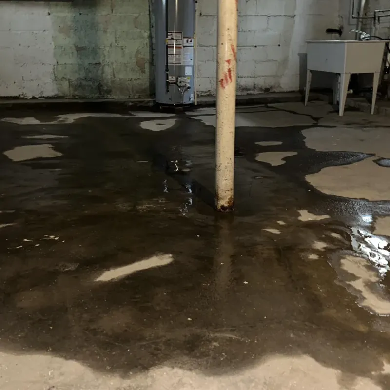 Emergency Water Extraction And Removal in Pendleton County, WV